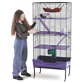 Deluxe Multi Floor Ferret Home