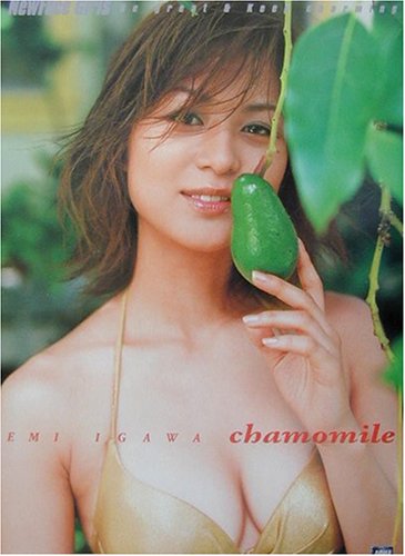 chamomile�\���G���ʐ^�W
