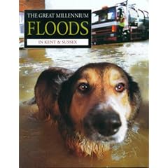 The Great Millennium Floods in Kent and Sussex (Paperback)