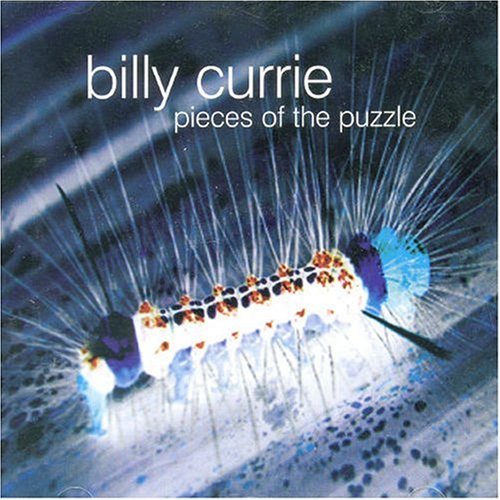 Pieces of the Puzzle
