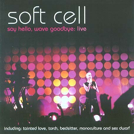 Say Hello Wave Goodbye Live