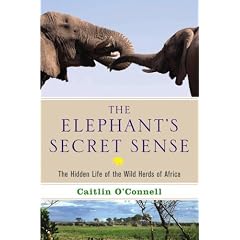 The Elephant's Secret Sense (Hardcover)
