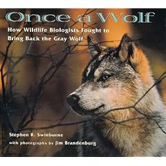 Once A Wolf (Scientists in the Field) (Paperback) 
by SWINBURNE (Author) 