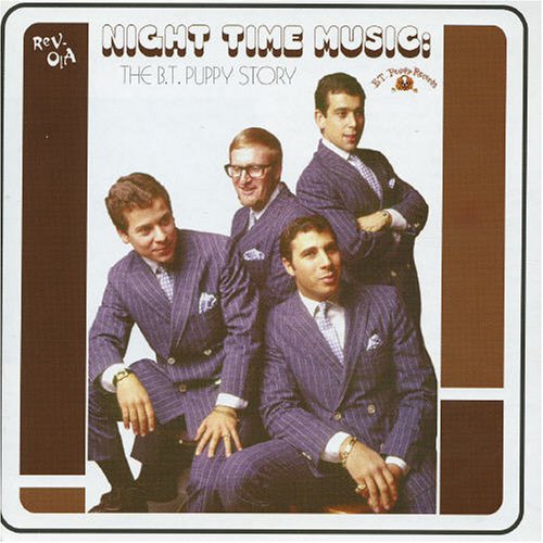 Night Time Music: The BT Puppy Story