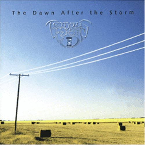The Dawn After The Storm