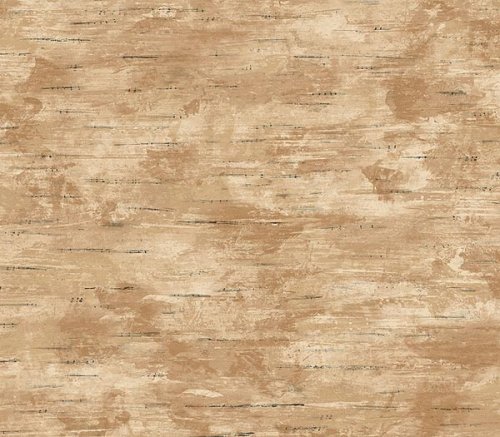 Birch Bark Wallpaper (TC81083L)