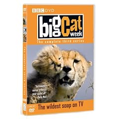 Big Cat Week - Series 3