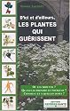 D'ici et d'ailleurs, les plantes qui gu�rissent