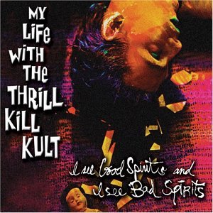 My Life With The Thrill Kill Kult - Do You Fear (For Your Child) Lyrics - Zortam Music