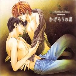 ���{�[�E�T�E���h�R���N�V���� �h���}CD �����낤�̐X