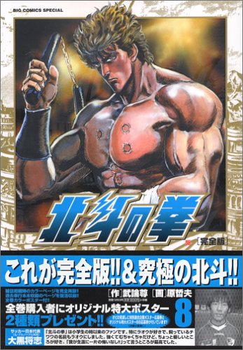 北斗の拳―完全版 (8)