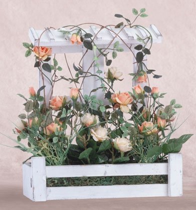 Roses and Lattice Planter