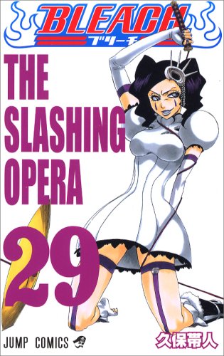 BLEACH (29)