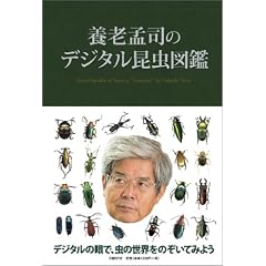 養老孟司のデジタル昆虫図鑑