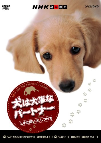 NHK��̣ͪ�� ��������ʥѡ��ȥʡ� ���ʻ����������Ĥ���