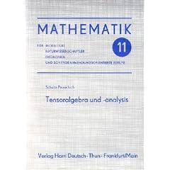 Mathematik für Ingenieure, Naturwissenschaftler, Ökonomen und sonstige anwendungsorientierte Berufe. Bd 11. Tensoralgebra und -analysis (Taschenbuch)