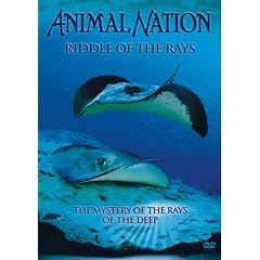 Animal Nation - Riddle Of The Rays 
DVD ~ Animal Nation 