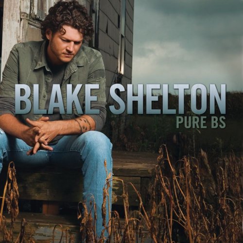 BLAKE SHELTON - It Ain