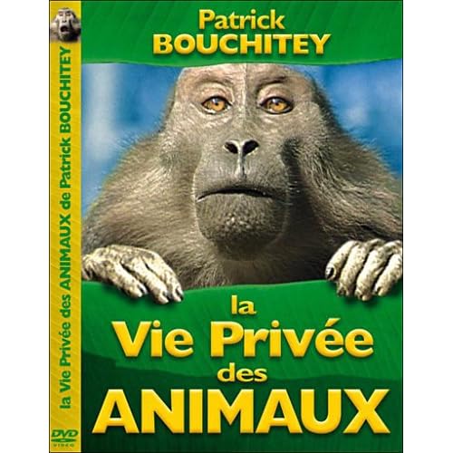 http://ec1.images-amazon.com/images/I/51S887XDN0L._SS500_.jpg