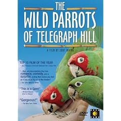 Parrots