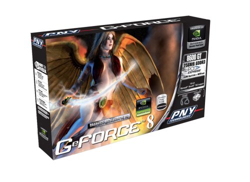 Projektoren: PNY GeForce 8 8600 GT 128Bit 256MB DDR3 PCI-Express Grafikkarte