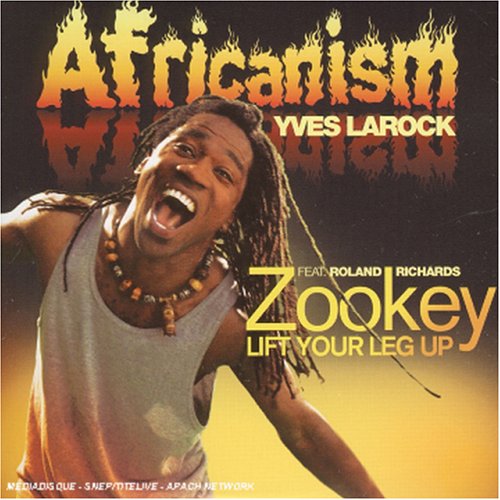 Yves Larock - Zookey (Africanism All Star Vo Lyrics - Zortam Music