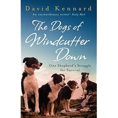 The Dogs of Windcutter Down: One Shepherd's Struggle for Survival