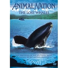Animal Nation - Lost Whales 
DVD ~ Animal Nation 