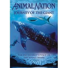 Animal Nation - Journey Of The Giant 
DVD ~ Animal Nation 