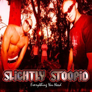 Slightly Stoopid - Leaving On A Jet Plane Lyrics - Zortam Music