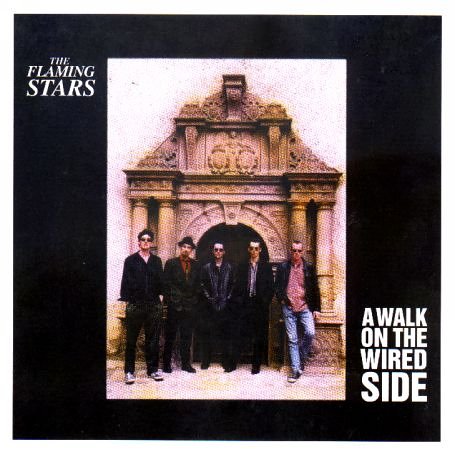 A Walk on the Wired Side
