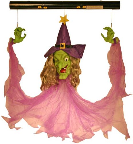 Gemmy 27488 Motion Activated Floating Witch with Sound and Light-Up Eyes