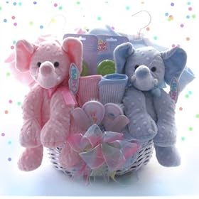 Personalized Double The Blessings Twins Baby Gift Basket