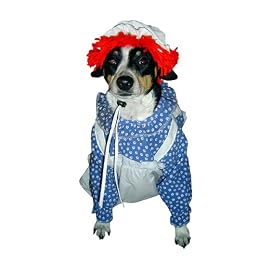 Raggedy Ann Halloween Costume for Dogs