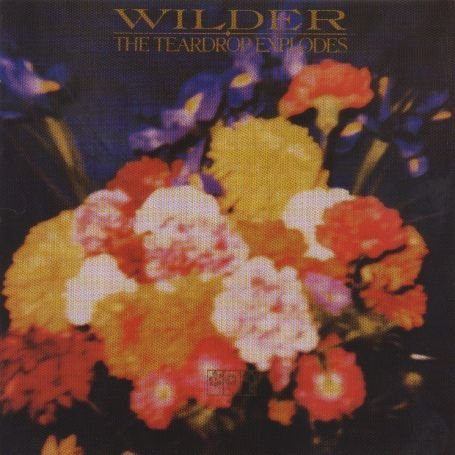 Teardrop Explodes - Wilder - Zortam Music