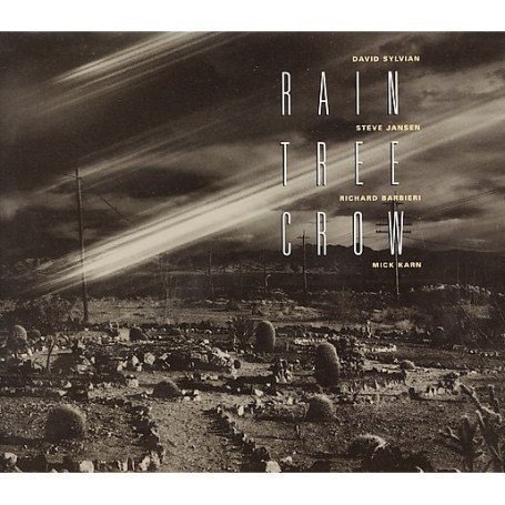 Rain Tree Crow