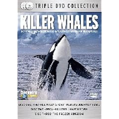 Killer Whales
