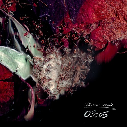61+jSgtbsHL._SS500_.jpg