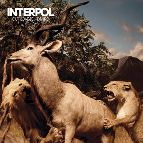 Interpol - Our Love To Admire - Zortam Music