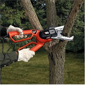 http://ec1.images-amazon.com/images/I/615S4VB56VL._AA280_.jpg