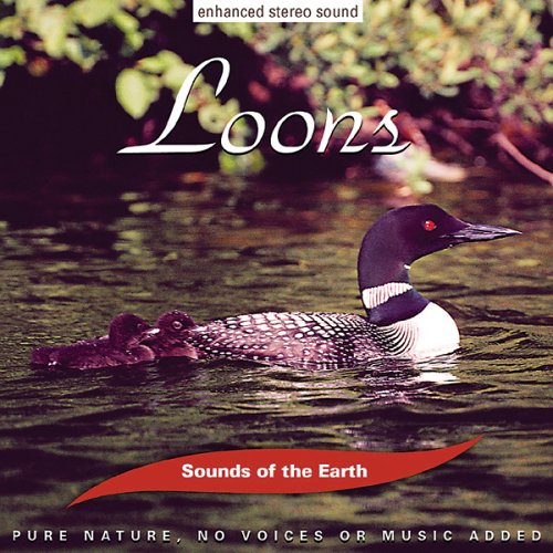 Sounds of the Earth: Loons