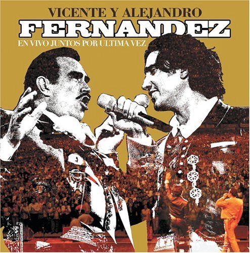 Alejandro Fernandez - COMO QUIEN PIERDE UNA ESTRELLA Lyrics - Zortam Music