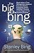 The Big Bing: Black Holes of Time Management, Gaseous Executive Bodies, Exploding Careers, and Other Theories on the Origins of the Business Universe by Stanley Bing