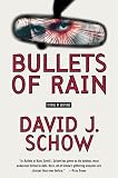 Bullets of Rain: A Novel of Suspense