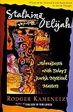 Stalking Elijah: Adventures with Today’s Jewish Mystical Masters