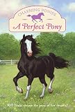 Charming Ponies: A Perfect Pony (Charming Ponies)