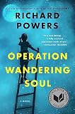 Operation Wandering Soul