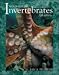 Biology of the Invertebrate