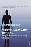 The Feeling of What Happens: Body, Emotion and the Making of Consciousness