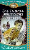 The Tunnel Behind the Waterfall (Red Fox Older Fiction)